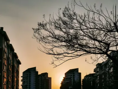 Kasino Craze Play Mobiilisovellus